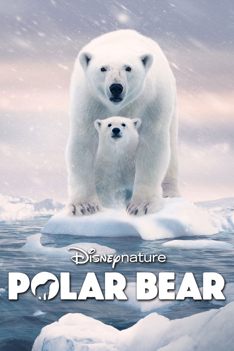 Polar Bear 2022 Polar Bear
