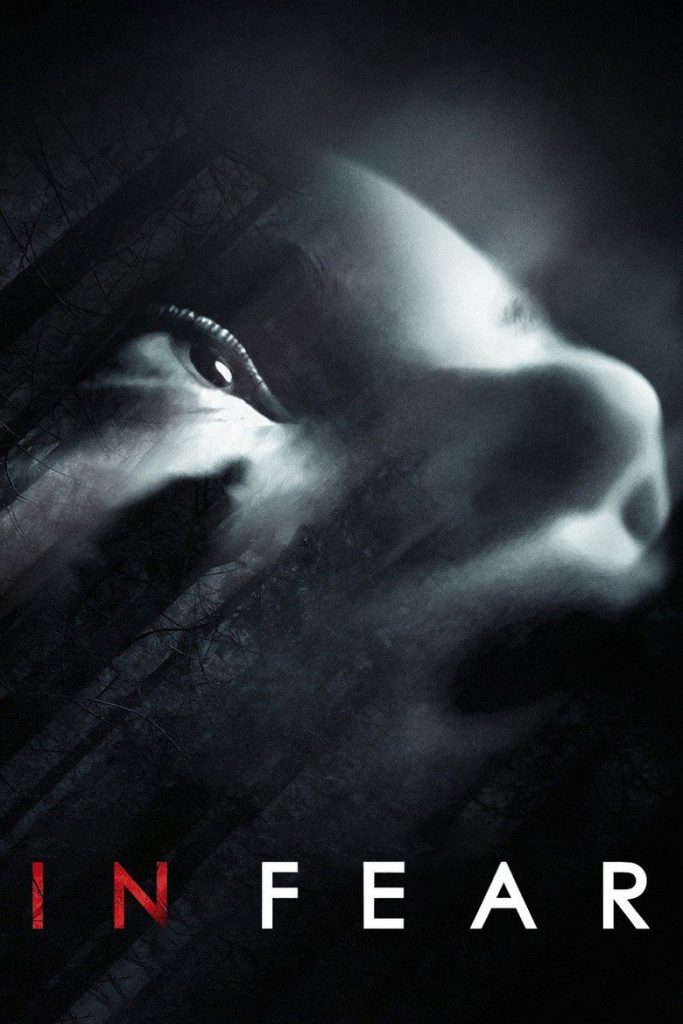 โปสเตอร์ ทริปคลั่งคืนโหด 2013 In Fear
