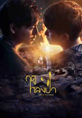 ฤดูหลงป่า 2025 Lost in the Woods พากย์ไทย Ep1-7