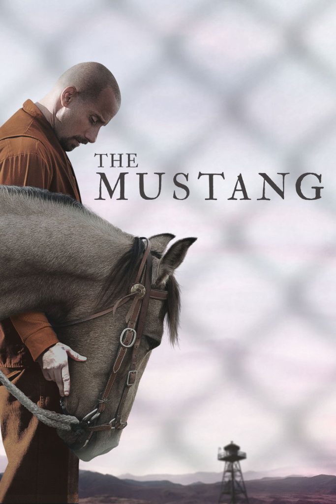 ม้าป่าแสนพยศ 2019 The Mustang